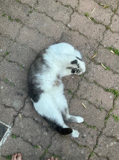 �̂т̓r���@1