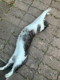 �̂т̓r���@3