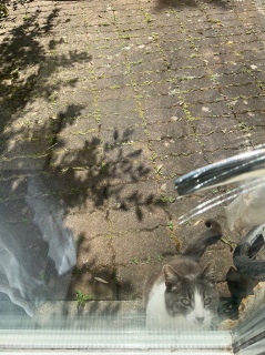 6��12��(��) �����̓��{��搶�͋x��