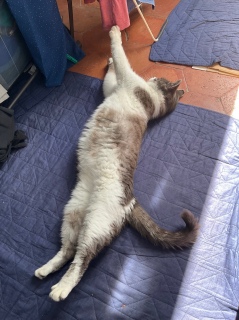 �Q�����낪��Ȃ��炽�܂��Ƃ�