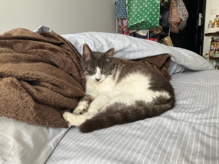 ���������񂩂�