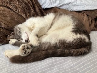 �����Ƃ��낮