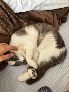 ������Ă��悵