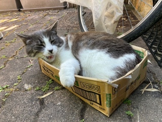 �����т��܂���