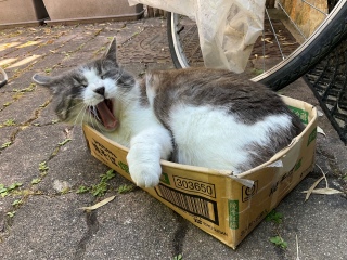 �����т��Ă܂�