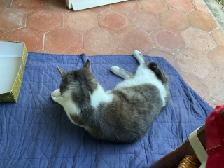 �܂������ɖ߂���