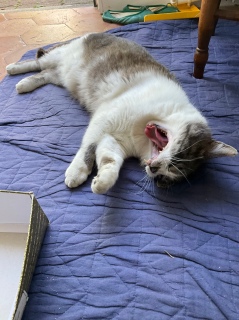 �����ѓ�A��