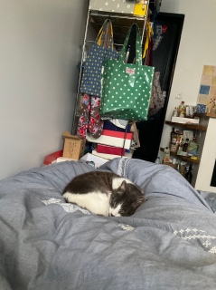 6��13��(��)_��7��