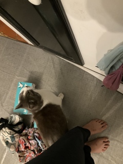 6��14��(��)  �n���^�[�H