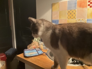 �ˁ[���͒��q��􂢂���