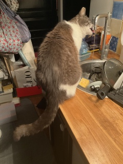 �����Ă܂�������