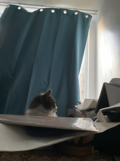 6��15��(��) 7���O�ł���