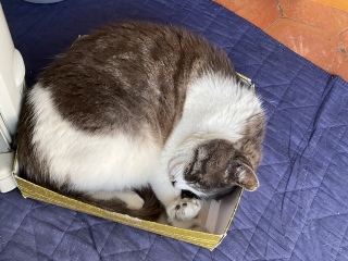 �����͋x�݂̓�