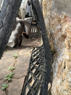 �Q�����ړ�