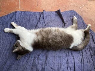 �Ӂ[������