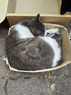 �Ă��Ή��@����