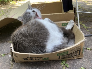 �����т���