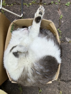 �Ă��΂͂ݏo��