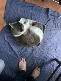 6��17��(��)_�L���[!!!