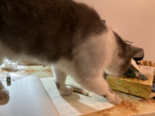 6��18��(�y) ���������Ă��ꂽ