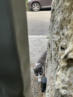 6��19��(��) ����ɂقƂ�ǖ߂�