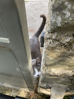 �����͋�����