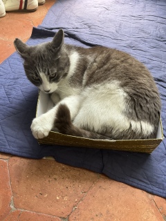 ����������H