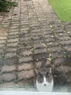 6��20��(��) ���͂悤�L���