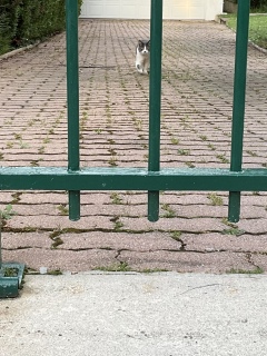 �ˁ[�������ꂵ���@��