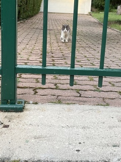 �ˁ[�������ꂵ���@�j