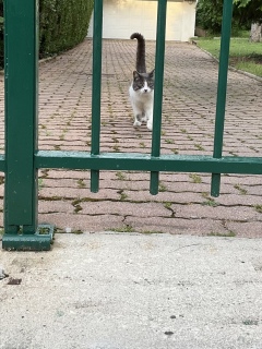 �ˁ[�������ꂵ���@�O