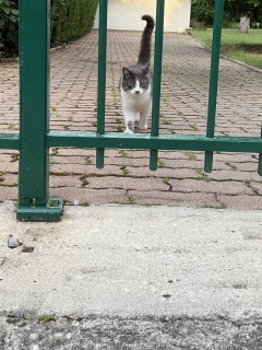 �ˁ[�������ꂵ���@�l