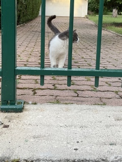 �ˁ[�������ꂵ���@��