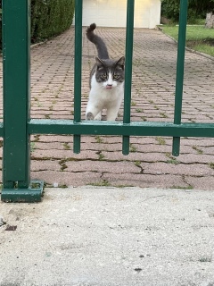 �ˁ[�������ꂵ���@�Z