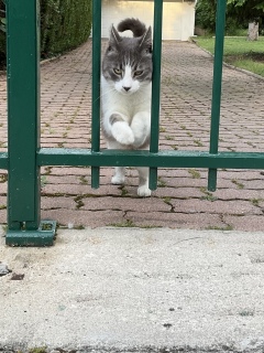 �ˁ[�������ꂵ���@��