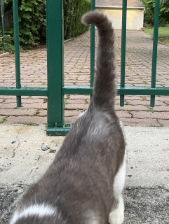 �ˁ[�������ꂵ���@��