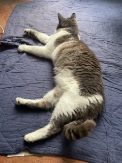 �����͔L���̗���