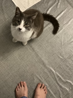 6��21��(��) �钆�̔L���