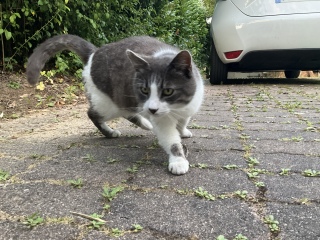 ���낢�ǂ�Ƃ����ʐ^�ɎB�낤�Ƃ�����c