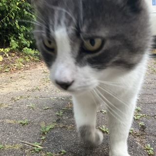 �ˁ[���ɑ̓�����