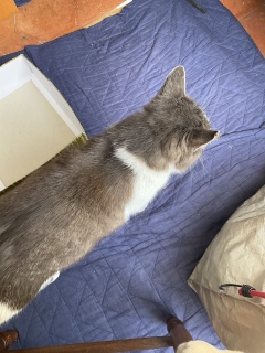 6��22��(��) ���ꎩ�R