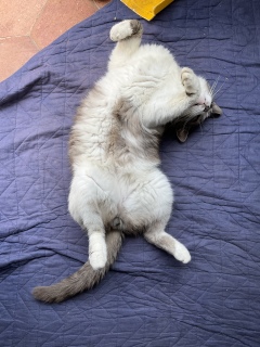 �����ނɂ�ނɂ�