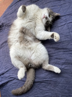 �����J���Ƃ��