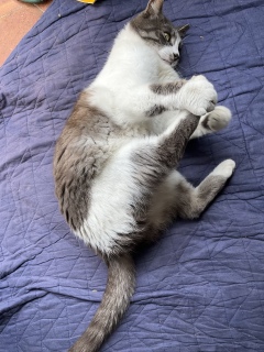 �ւ��V����