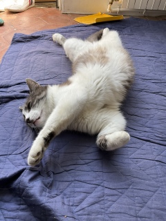 �O���炨�����