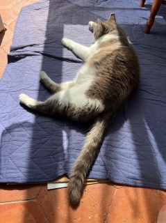 6��23��(��) �����������Ă��ꂽ�˂�