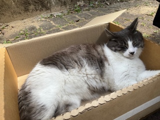 �������ȔL���