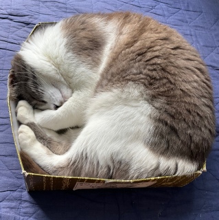 �F���̔��x�b�h