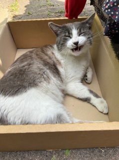 �B���������I