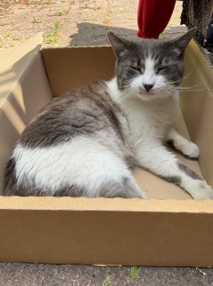 �����т̌�